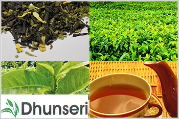 Dhunseri-Tea-and-Industries