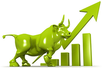 Bull Market