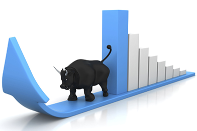 Business growth, bull