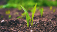 UPL Global to Acquire 49% Stake in Thailand’s Grow Chemical for $0.76 Million