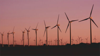 Tata Power commissions 300 MW solar project in Rajasthan